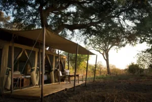 Chada Katavi004 1760419420071 C50a235b 4fe1 4764 92ac Aa8e75da1084 1760419420102 138e8cac 040e 4237 9f4d 2792aac103f6