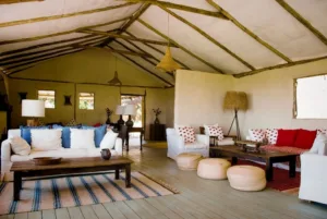 Lamaiserengeti03 Medium