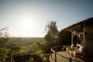 Lamaiserengeti08 Medium