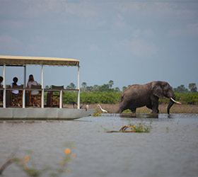 Selous Thumb Siwandu