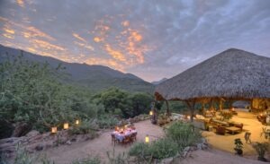 Sarara Treehouse5