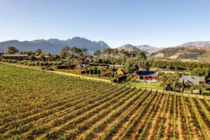 Image Processing20250416 1 Bw307u