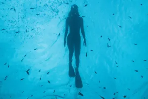 41 Fanjove Island Activities Snorkeling